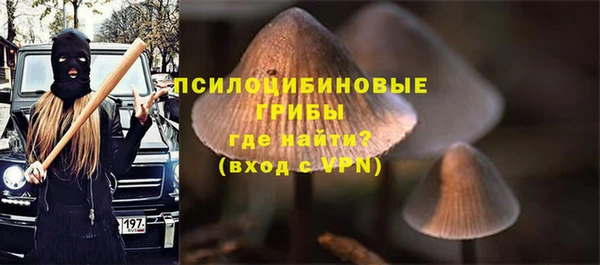 эйфоретик Бронницы