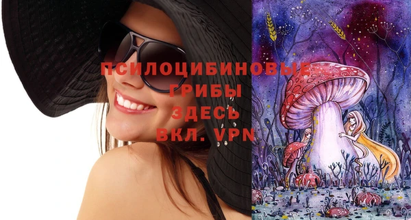 PSILOCYBIN Верхний Тагил