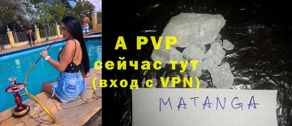 a pvp Бородино