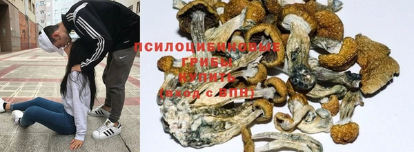 эйфоретик Бронницы