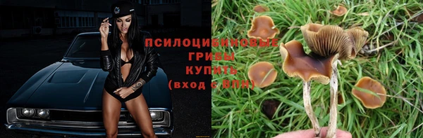 a pvp Бородино
